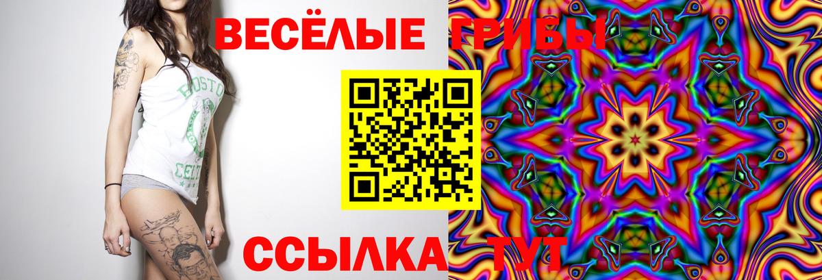 Галлюциногенные грибы Magic Shrooms  Галлюциногенные грибы Magic Shrooms  Вход с VPN  Москва 