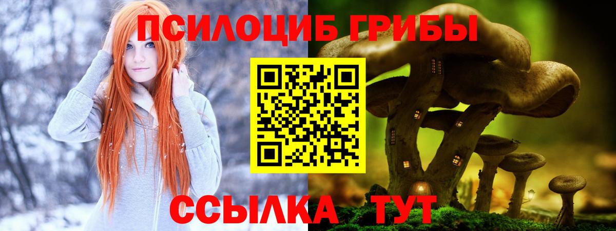 Псилоцибиновые грибы Psilocybine cubensis Москва